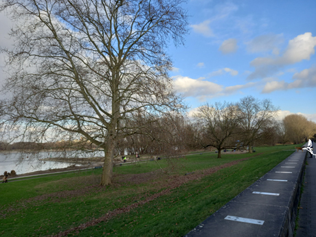 Koeln Rodenkirchen Makler